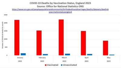 COVID-19 deaths by vaccination status, first five months of 2023, 95% vaccinated.