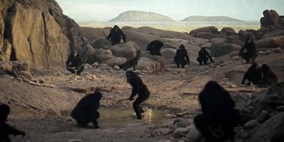 The-two-ape-tribes-fight-in-the-opening-scene-of-2001.jpg