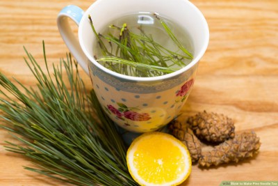 aid358707-v4-1200px-Make-Pine-Needle-Tea-Final.jpg