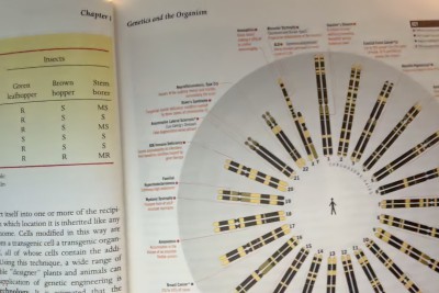 Genetic Traits.jpg