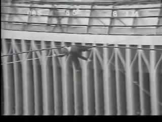 Philippe Petit 4.png