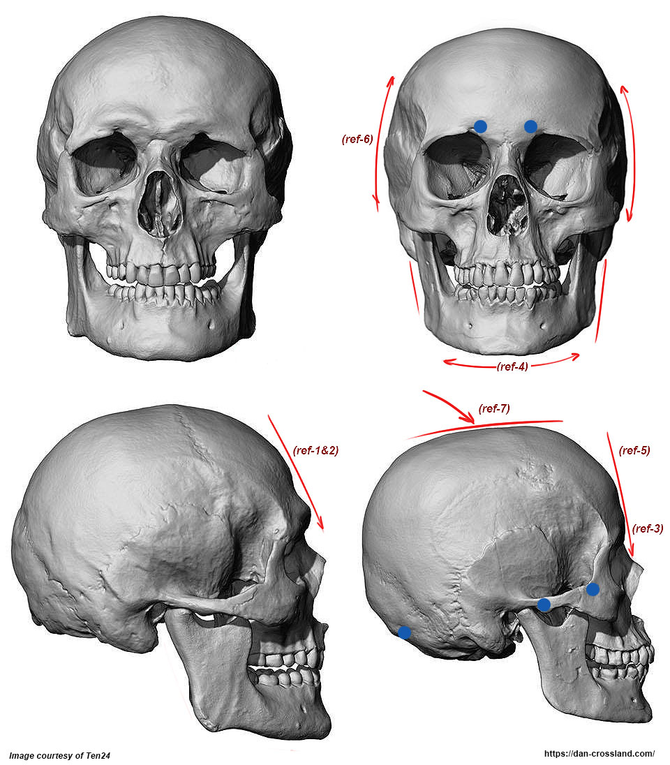 skull-example.jpg