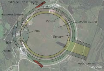 Cross-section-through-the-human-eye-Diagram-by-the-author.jpg