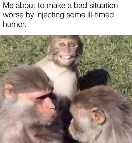 monkey.jpg