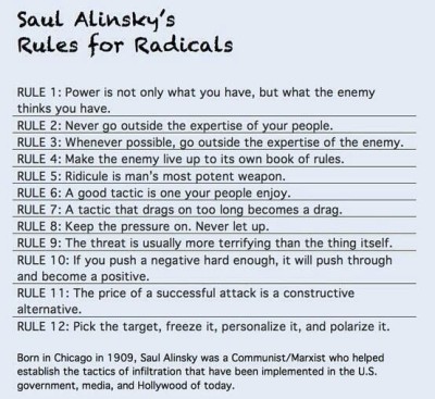 rules-for-radicals-hypocrite.jpg