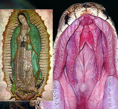 Our Lady of Guadalupe